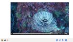JPEG - 82.1 kio